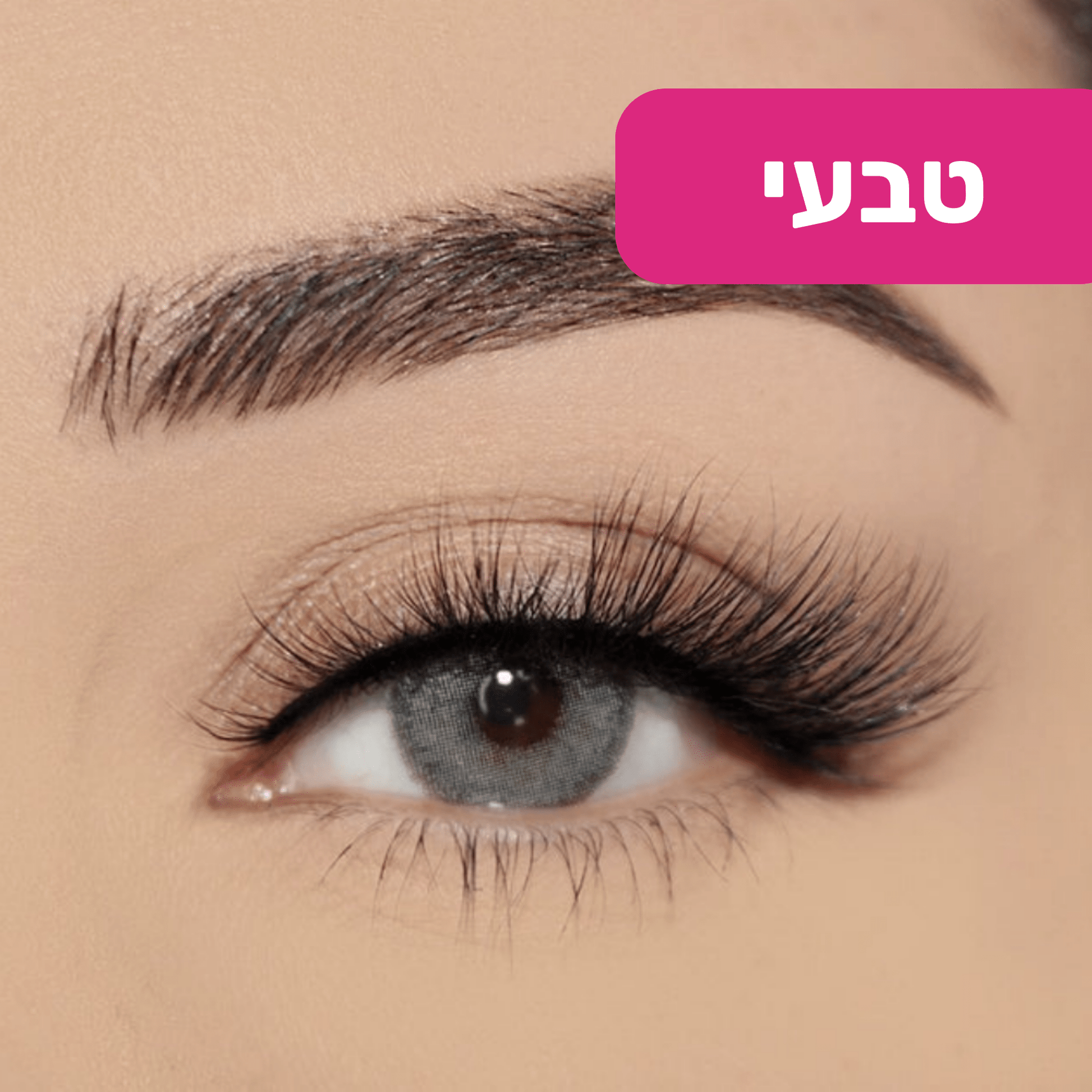 ריסים מגנטיים מבית BLISS - BLISS SHOP