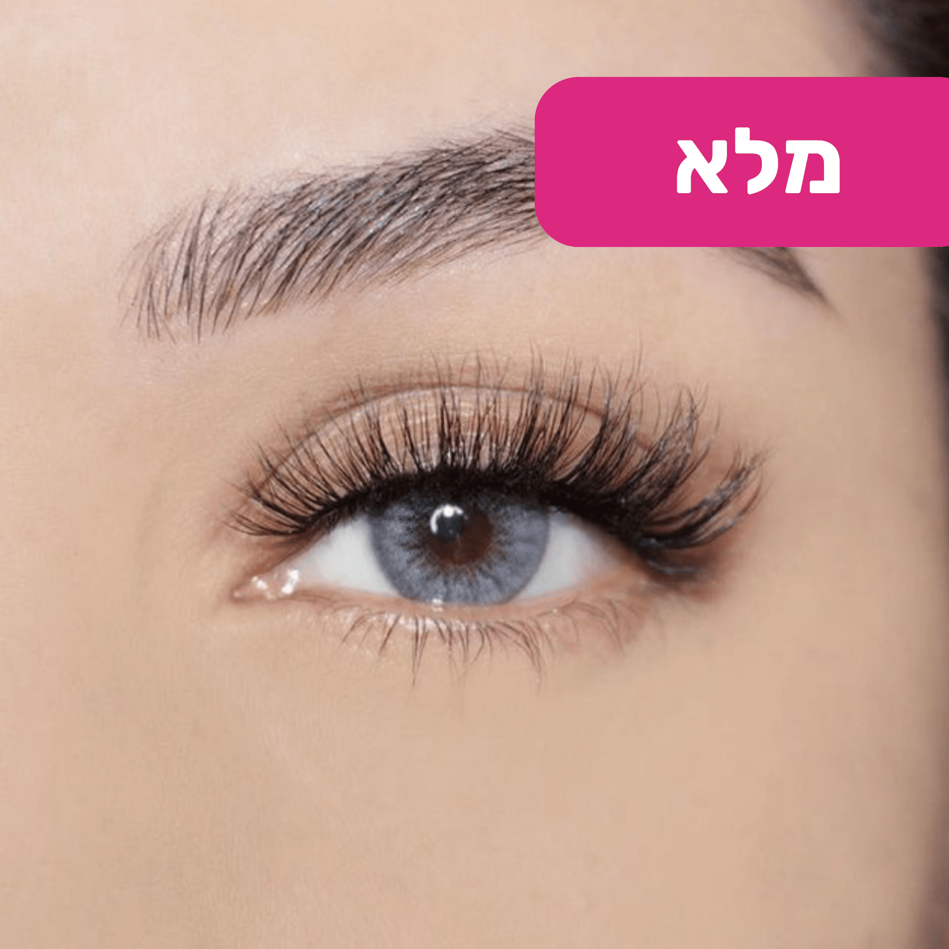 ריסים מגנטיים מבית BLISS - BLISS SHOP